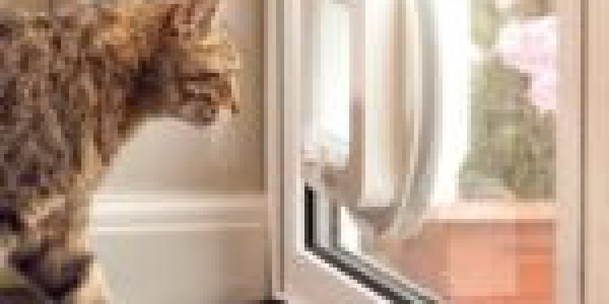 What's The Current Job Market For Pet Door Fitter Professionals Like?
