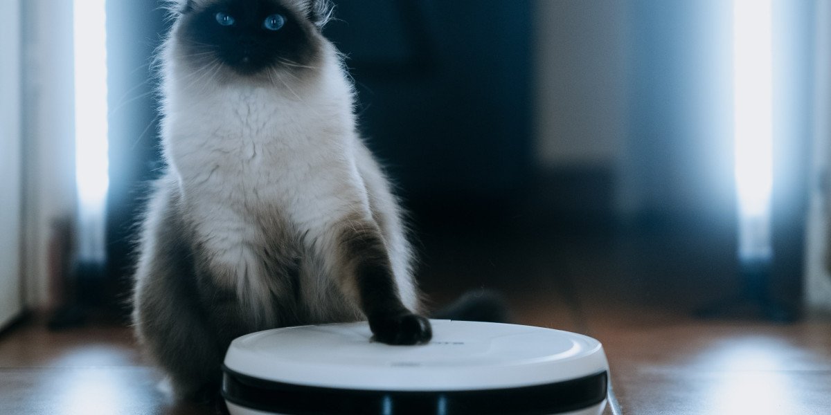 Watch Out: What Robotic Vacuum Cleaner Is Taking Over And What To Do About It